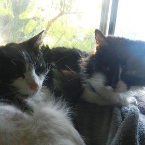 BUNDLE is Better! 2's company; 3's a better deal